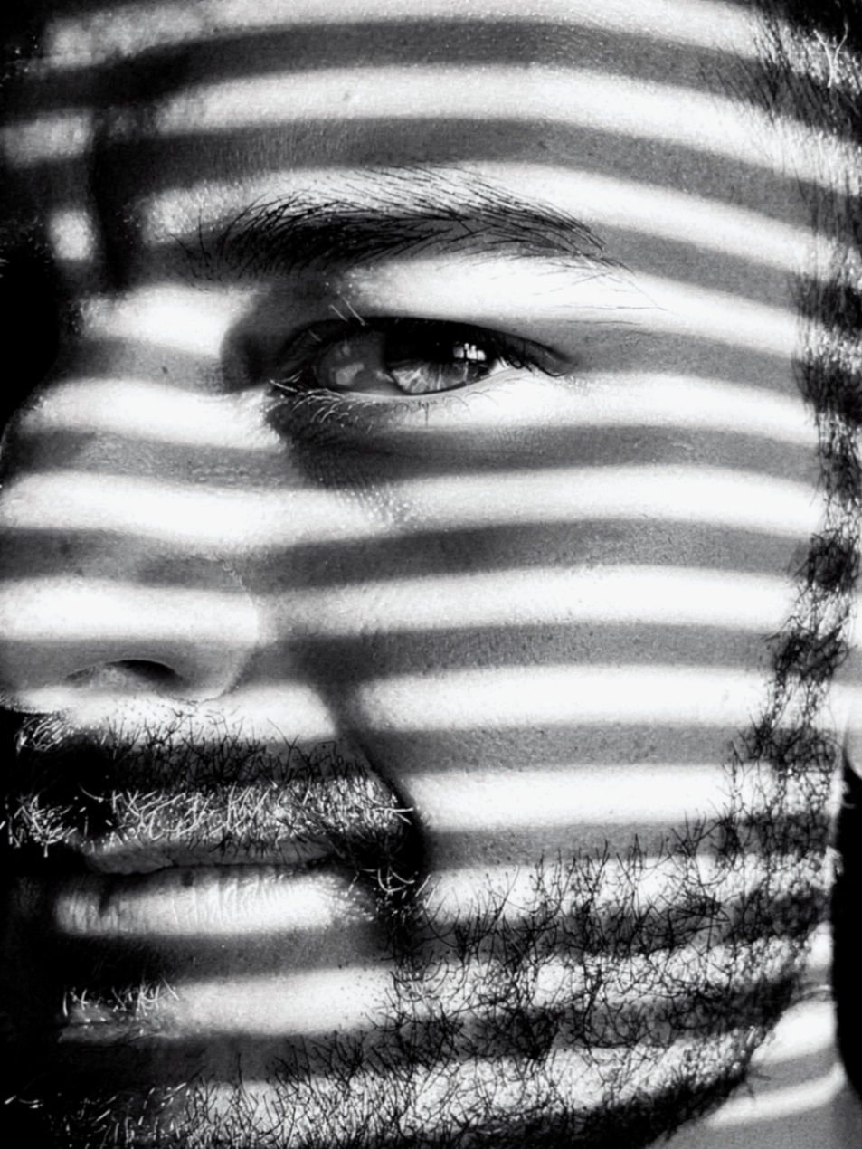 ALDENT portrait 1
